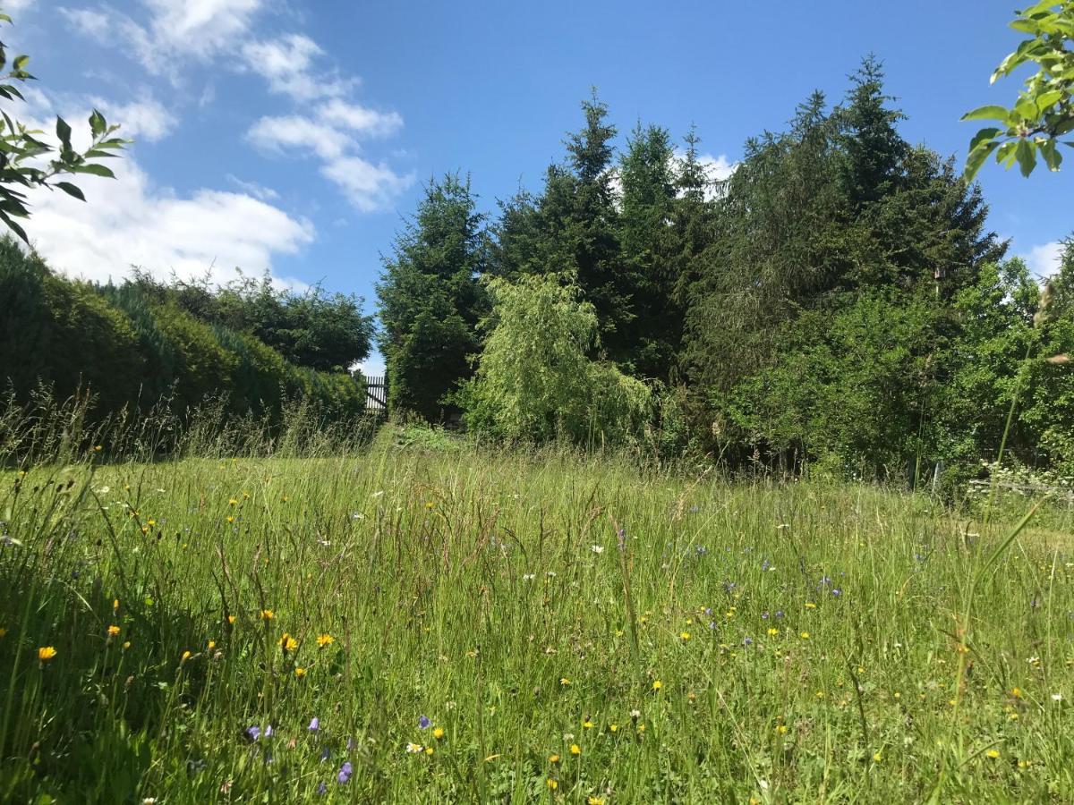 Apartment In Für Geschäftsreise, Urlaub Oder Studium Im Ot Oehrenstock
